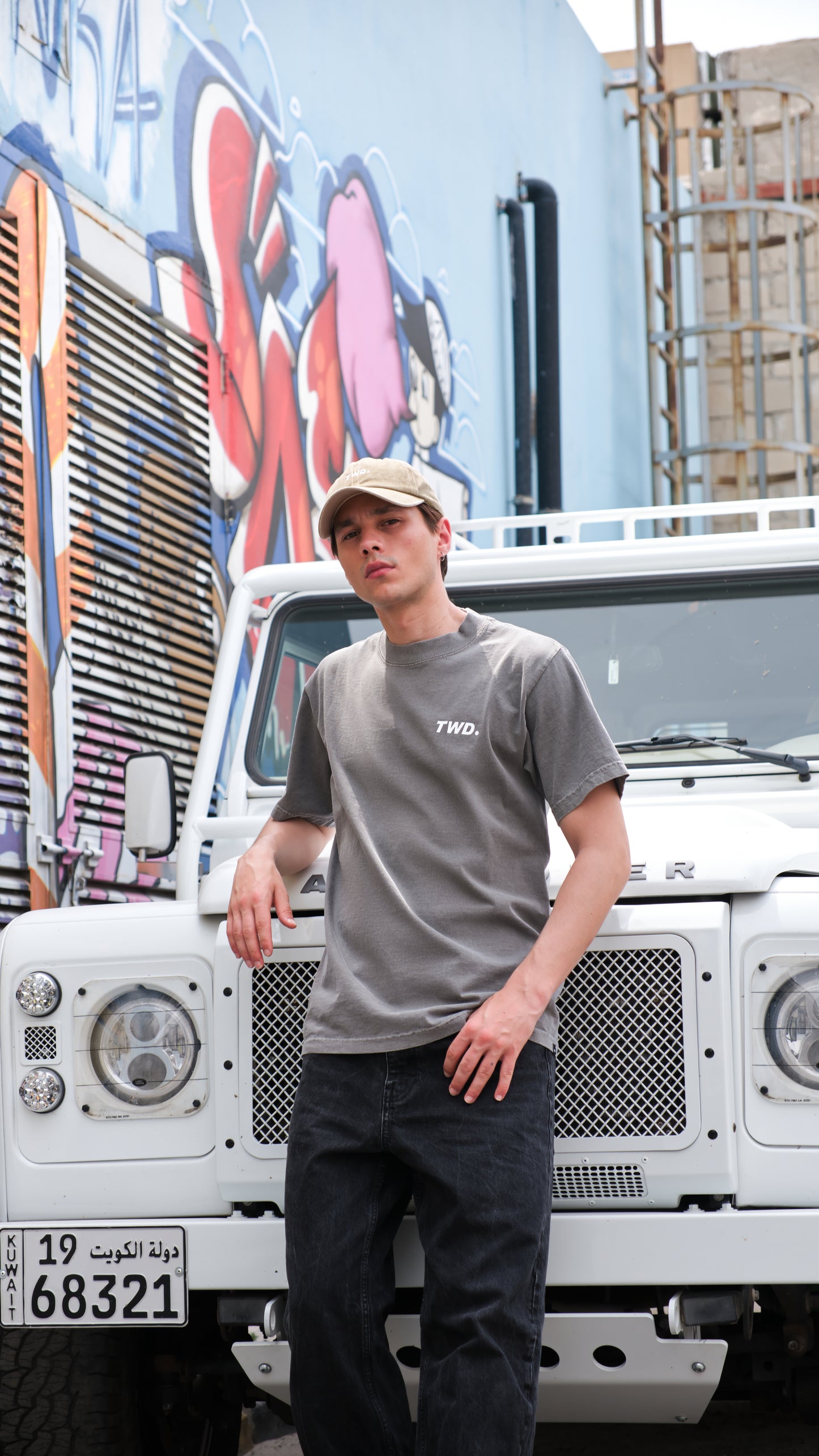 TWD Logo Print Cement Tee
